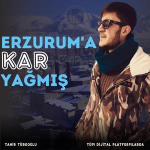 Erzurum'a Kar Yağmış