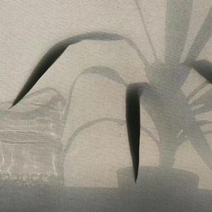 第一首未写完的歌