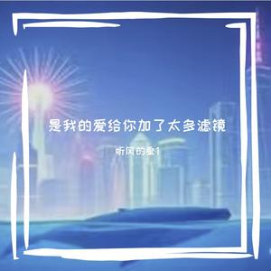 是我的爱给你加了太多滤镜