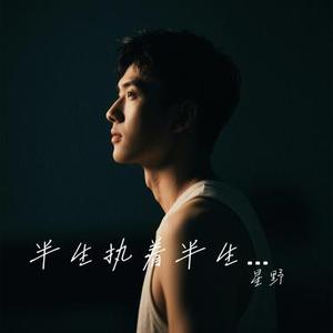 半生执着半生闲