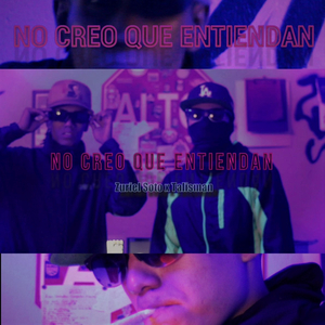 No Creo Que Entiendan