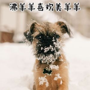 沸羊羊喜欢美羊羊（合唱版）