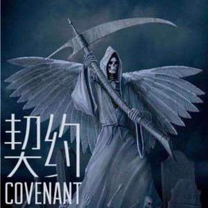 契约（Covenant）