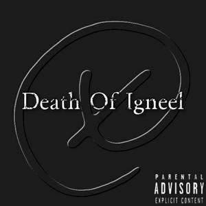 Death of Igneel (I Don't Wanna Do This Anymore Remix)