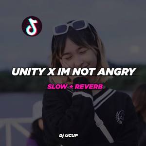 DJ UNITY X IM NOT ANGRY