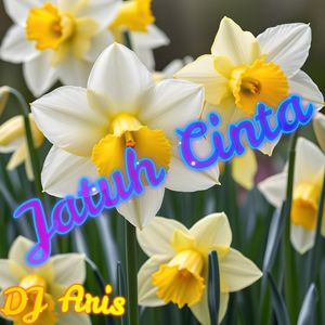 Jatuh Cinta (Karaoke Version)