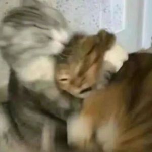 east coast hiphop boombap oschool type beat