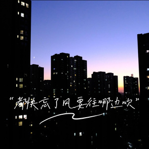 都快忘了风要往哪边吹