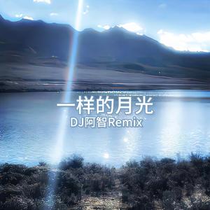 一样的月光(DJ阿智Remix)