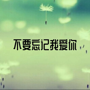 不要忘记我爱你