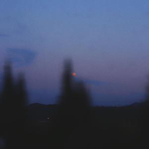 Welcome to Wonderland