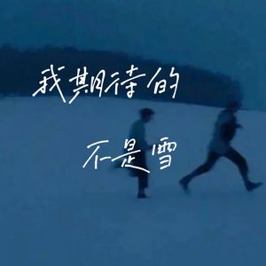 我期待的不是雪（而是有你的冬天）