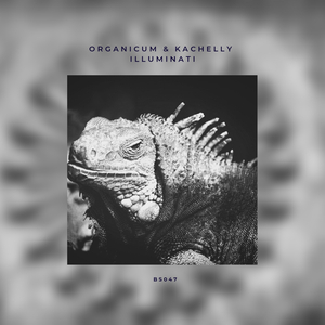 Illuminati (Original Mix)