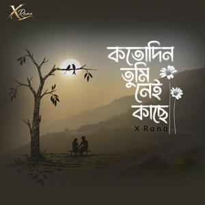কতোদিন তুমি নেই কাছে