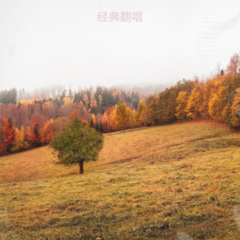 为何爱情让我痛