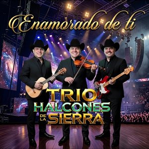 Aún No He Podido Olvidarte