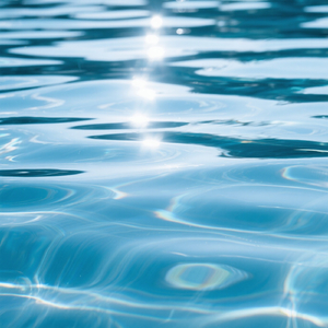 The Way Of The Water