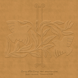 Sorry Not Sorry (feat. Braxton Cook & Tallulah Rose)