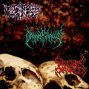 Demise of the Despised Female (2008 mix)