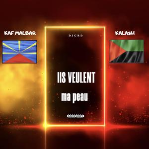 Ils veulent ma peau (remix shatta)