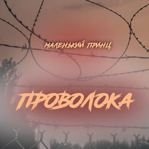 проволока