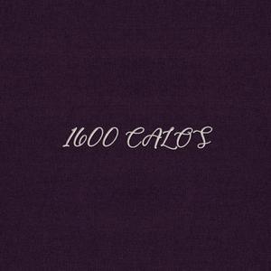 1600 CALOS (feat. Quizzical Guille & MOLLY)