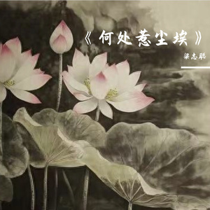 《何处惹尘埃》