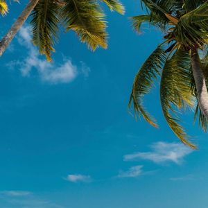 我等到花儿也谢了(国语版)