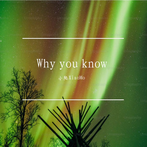 Why you know 伴奏