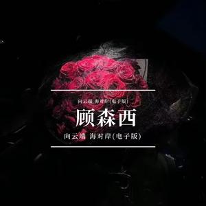 向云端 海对岸(电子版)