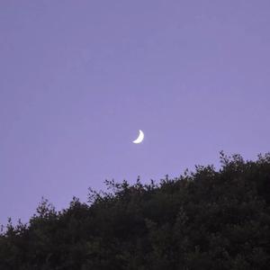 朱砂（翻自 任然）