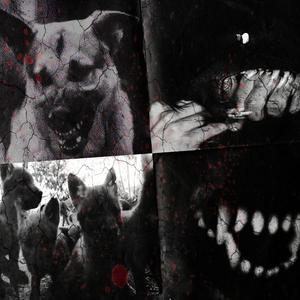 STRAYDOGZ (feat. Yn Krol)