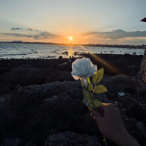 对话框里未发送的叹息