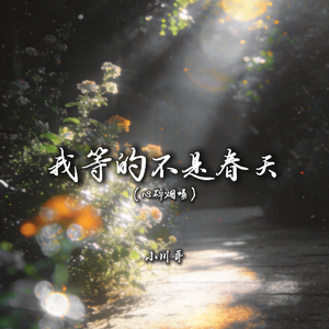 我等的不是春天（心碎烟嗓））