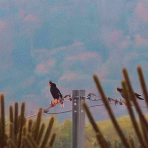 The Last Stand