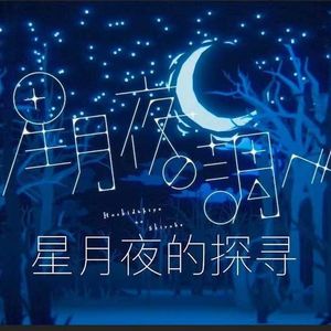 星月夜の調べ