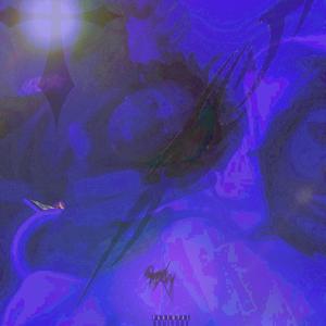 titanic + nii (veno) (feat. nii)