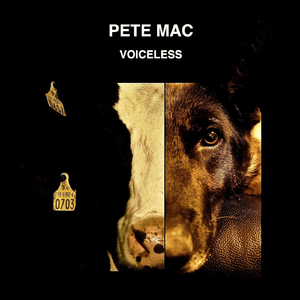 Voiceless