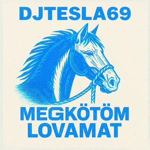 Megkötöm lovamat