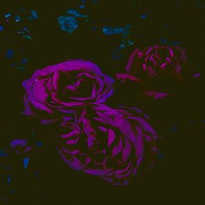 Believe (Late Nights In Orlando)