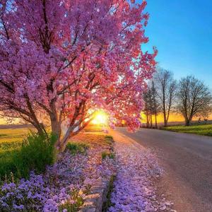 Springtime