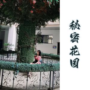 秘密花园