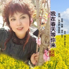 我在春天等你来