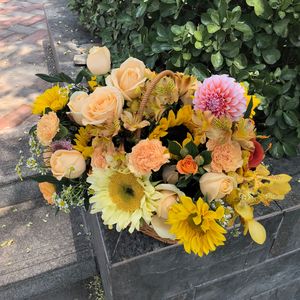 境（prod.by Morrow x ayoley）