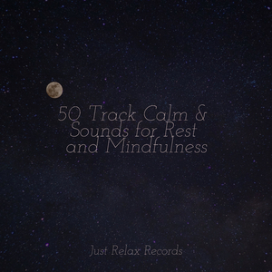 Melodic Soul's Journey