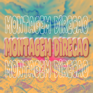 Montagem Direcao