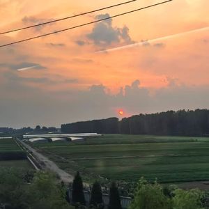 春のメロディー