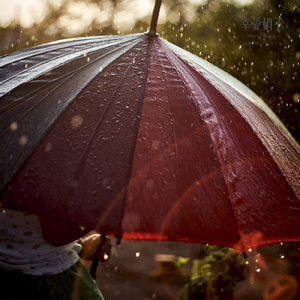 夏の雨はまるで