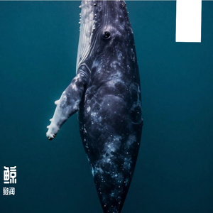 东风不来花开何用