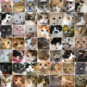 四足のヒーロー (2020ver.)